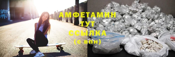 прущие крисы Няндома