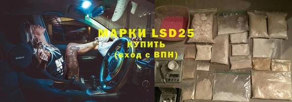 прущие грибы Нягань