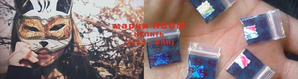 прущие грибы Абаза
