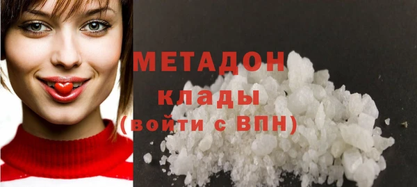 прущие грибы Абаза