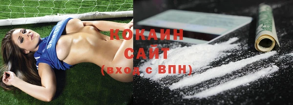 прущие грибы Абаза