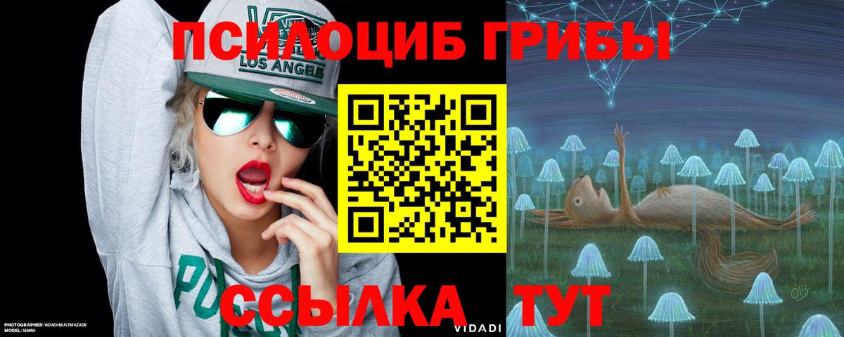 Киров  Галлюциногенные грибы мухоморы  Вход с VPN 
