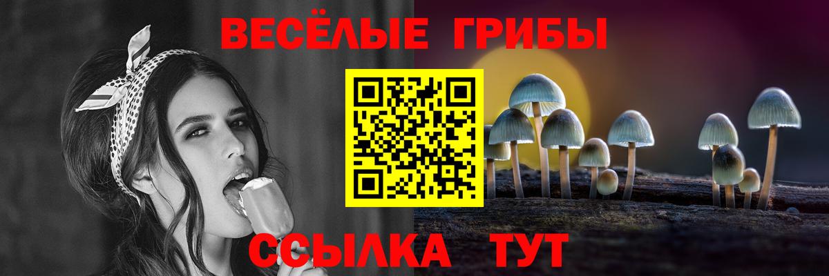 Псилоцибиновые грибы прущие грибы Киров